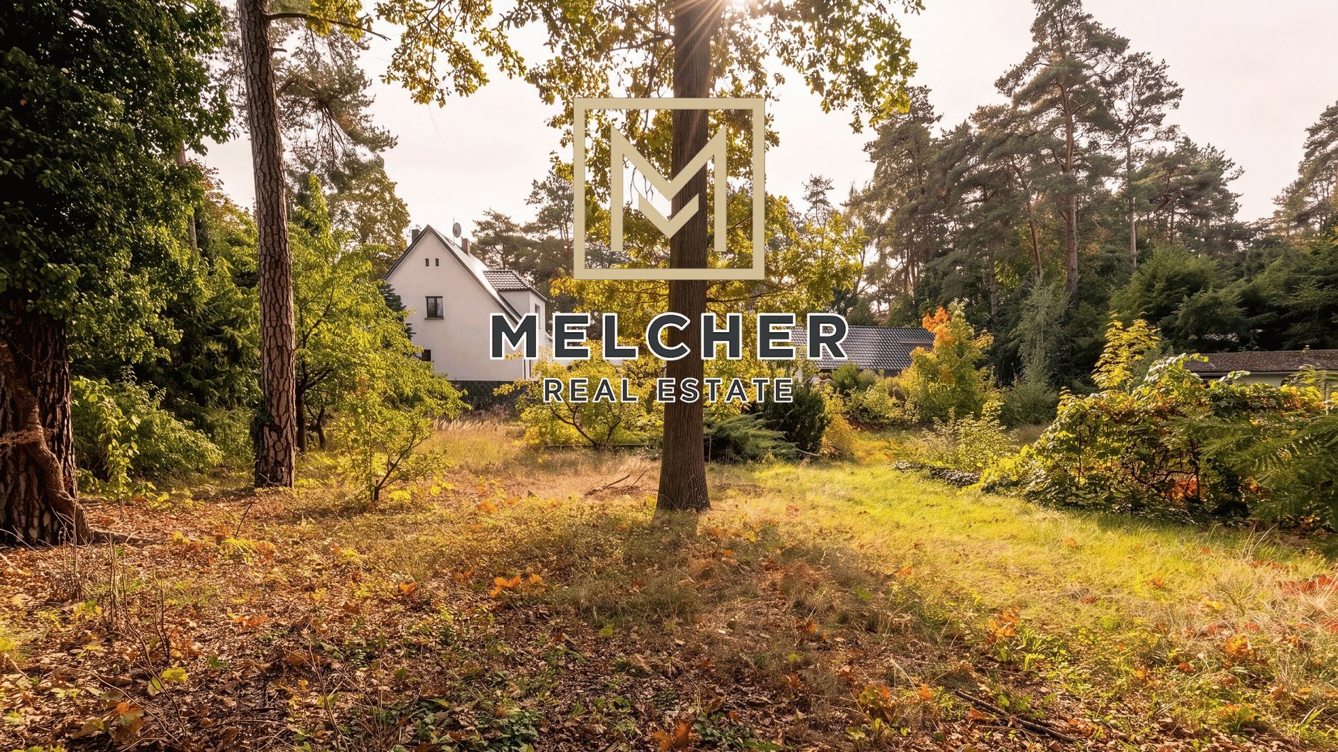 Baugrundstück – Ansicht